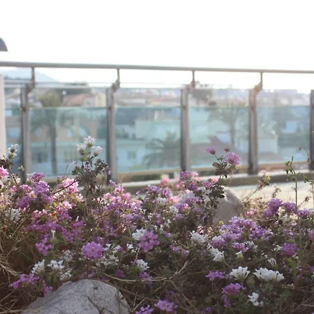 Rober Ξενοδοχείο 3*